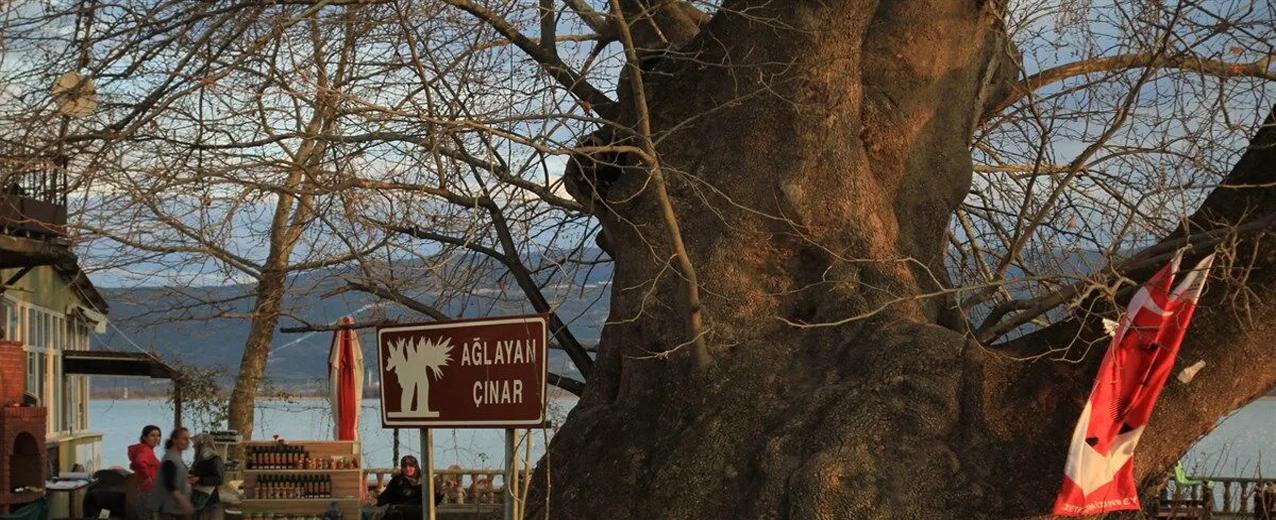Bursa & Cumalıkızık & Gölyazı Turu