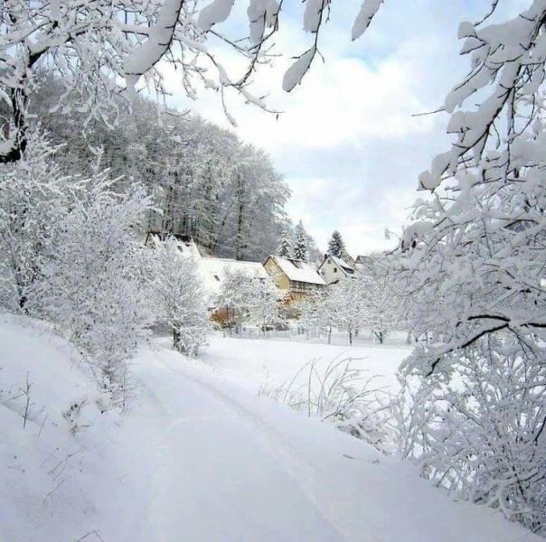 Yılbaşı Özel Batum ve Doğu Karadeniz Turu | Konya Çıkışlı | 2 Gece 3 Gün