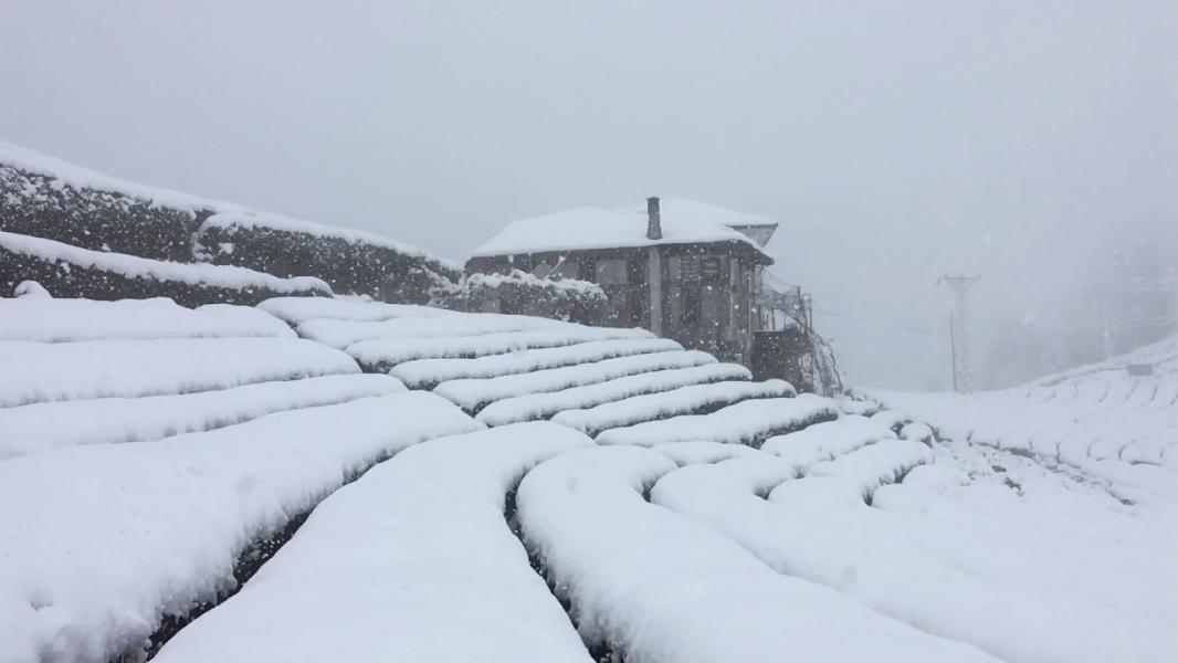 Yılbaşı Özel Batum ve Doğu Karadeniz Turu | Konya Çıkışlı | 2 Gece 3 Gün