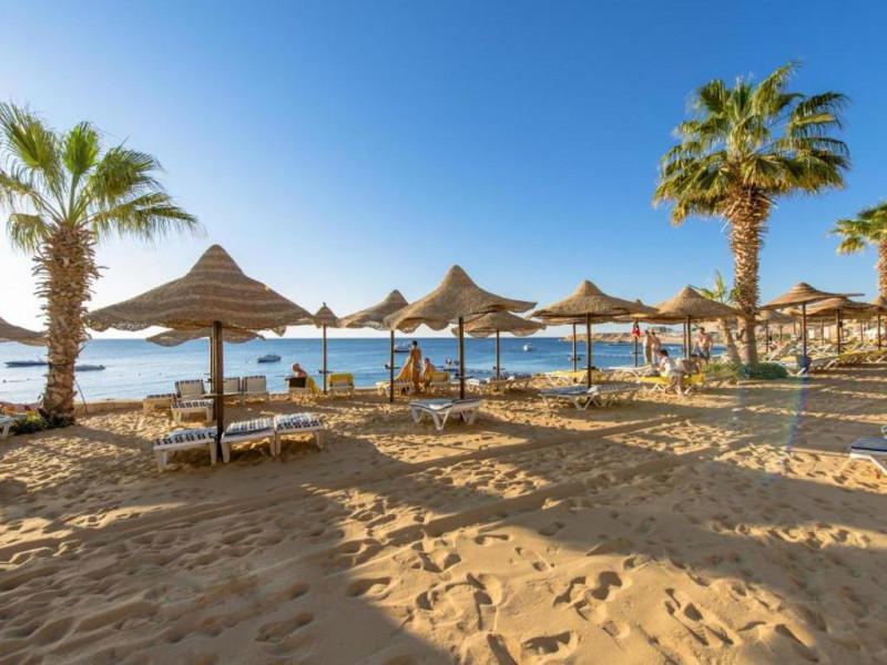 VİZESİZ / TAILWIND ILE SHARM EL SHEIKH TURU (3 GECE 4 GUN)( PANAROMA NAAMA HEGIHTS RESORT HOTEL VB.) 