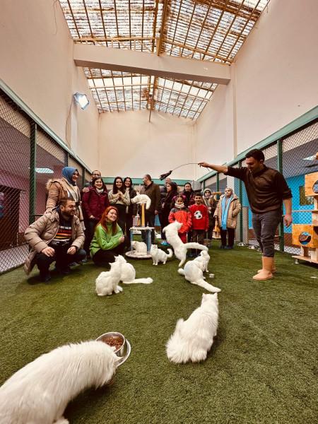 KIŞ SEZONU / ANKARA ÇIKIŞLI / UÇAK GİDİŞ TRENLİ BÜYÜK DOĞU TURU / 5 GECE 6 GÜN /