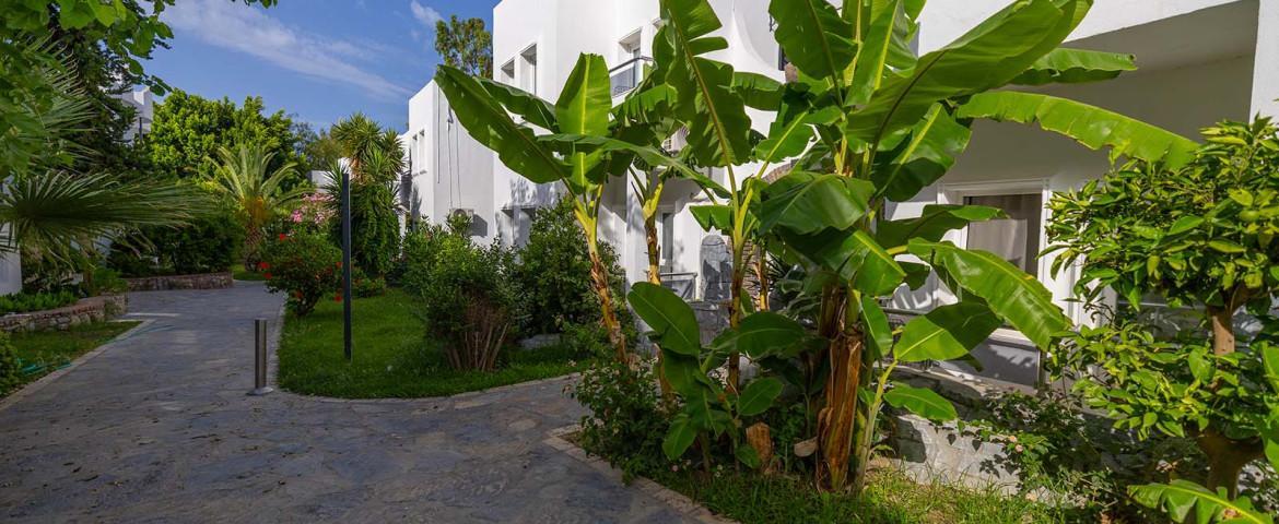 Leo Beach Resort +16 / 4 Gece 5 Gün