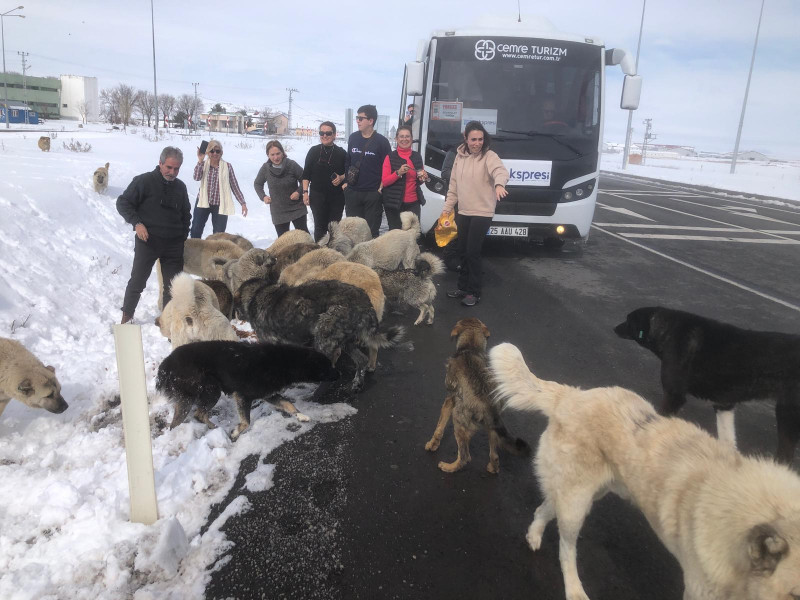 ANKARA ÇIKIŞLI / UÇAK GİDİŞ DÖNÜŞ DOĞU EKSPRESİ TURU (VAN-DOĞUBEYAZIT-KARS-ERZURUM) /3 GECE 4 GÜN/