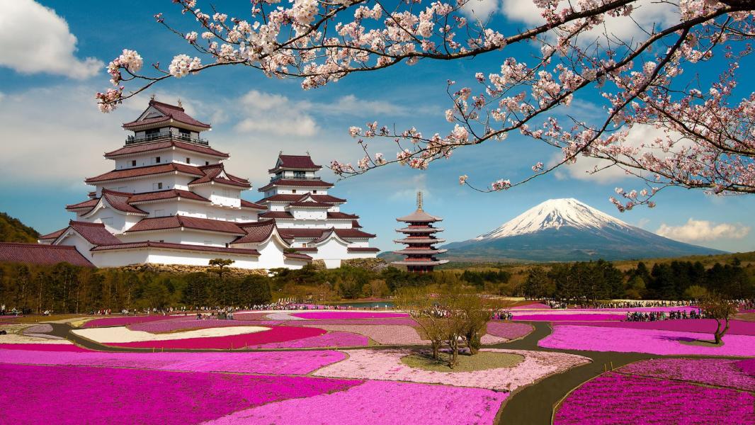 ELEGANT JAPONYA - 7 Gece - Thy - KIX-NRT 