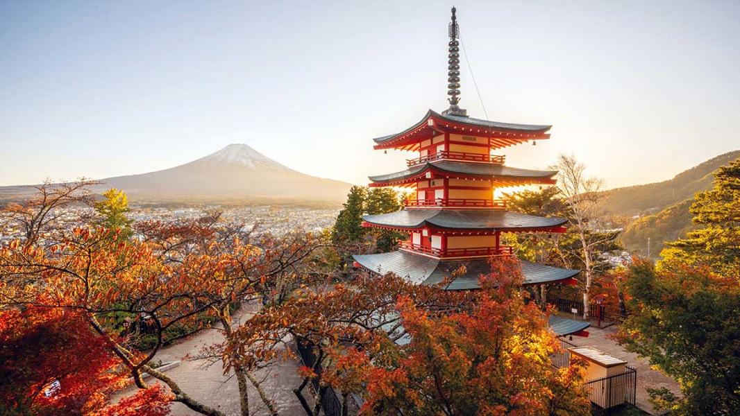 ELEGANT JAPONYA - 7 Gece - Thy - KIX-NRT 