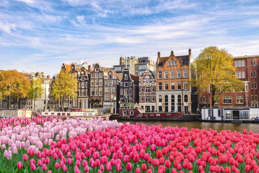AMSTERDAM - 3 Gece -  Thy - Ams-Ams - 