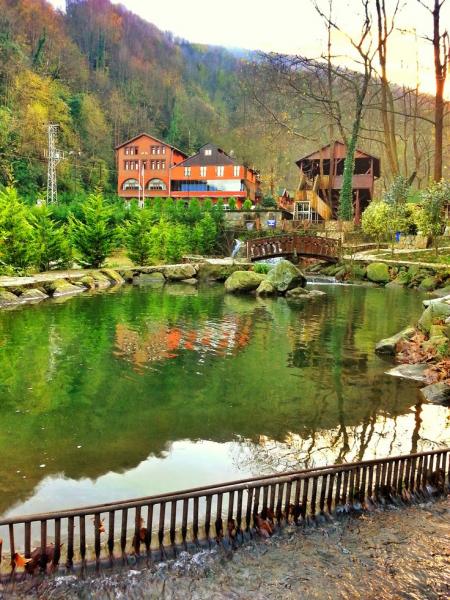  İstanbul Çıkışlı Günübirlik Ormanya Hobbit Evleri Sapanca Maşukiye Teleferik Turu