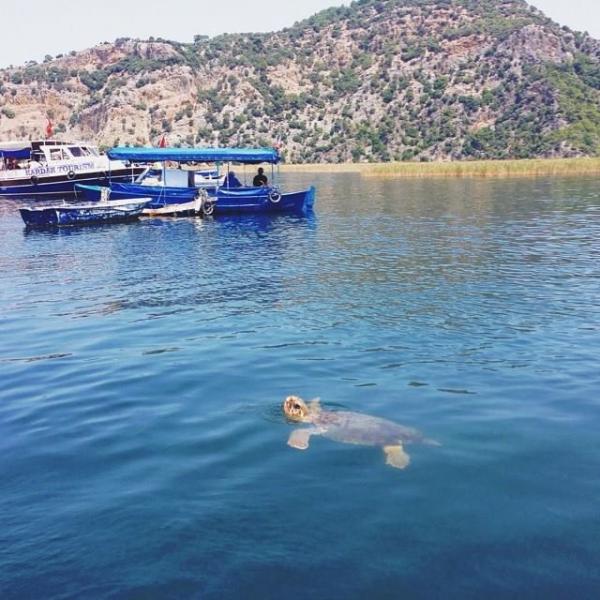 Likya Fethiye Ölüdeniz Kaş Dalyan Akyaka Turu (4 Gece Otel Konaklamalı)