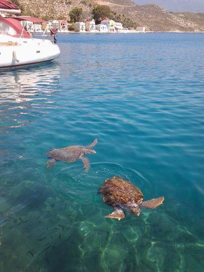 Uçakla Likya Fethiye Ölüdeniz Gökova Yüzme Ve Tekne Turu (3 Gece Otel Konaklamalı)