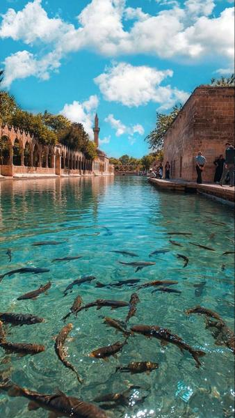 Uçaklı Kuzey Mezopotamya Adana-Mardin-Urfa-Gaziantep-Adıyaman Gap Turu (4 Gece Otel Konaklamalı)