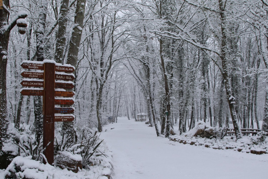 YILBAŞI ÖZEL Abant Kartepe Kartalkaya Uludağ Turu Limitsiz İçkili (4'lü Kar Keyfi)
