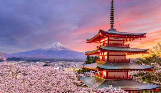 Japonya Turu