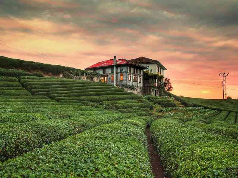 Bursa Çıkışlı Karadeniz Rüzgarı ve Batum Turu 4 Gece Otel Konaklaması (Batum Turu Dahil)