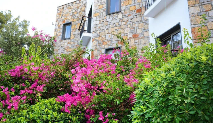 Mira Beach Bodrum | 3 Gece Otel Konaklamalı