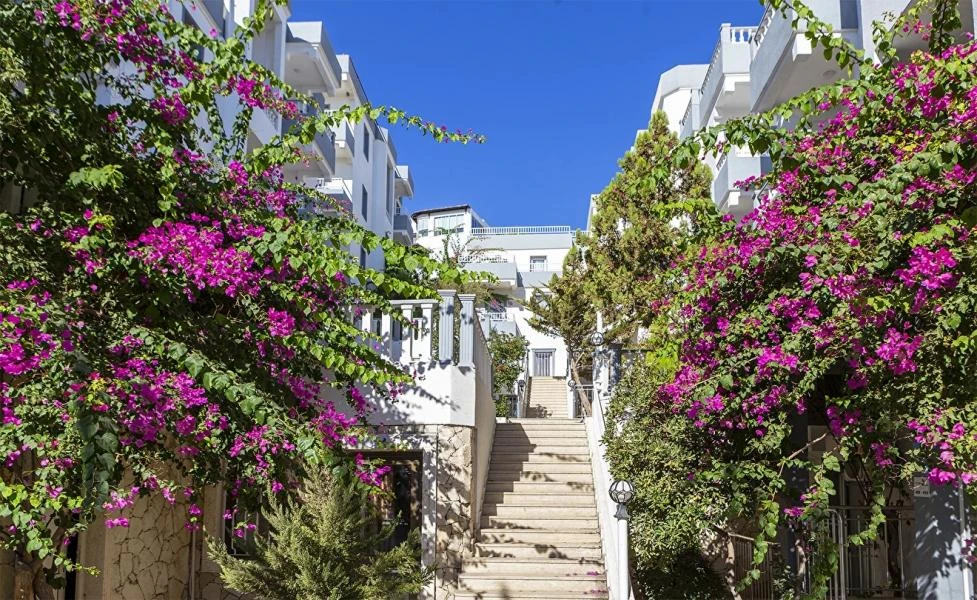 Fora Holiday Hotel Bodrum Gümbet / 3 Gece 4 Gün