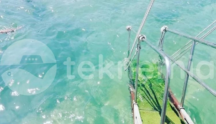 Ildır Tekne Turu | SA3547 | İzmir 