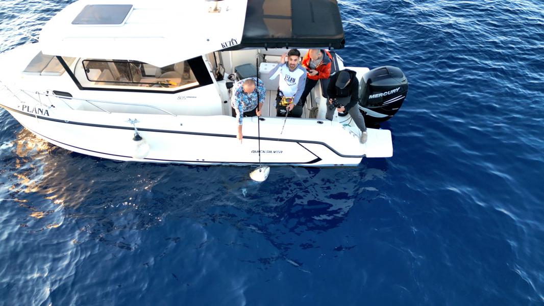Sığacık Orkinos Balık Avı Turu | FV351257 | İzmir   