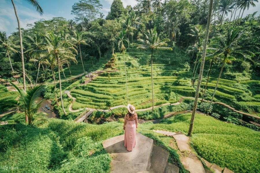 Türk Hava Yolları ile Direkt Uçuşlu Singapur & Bali & Jakarta Turu | 7 Gece 9 Gün