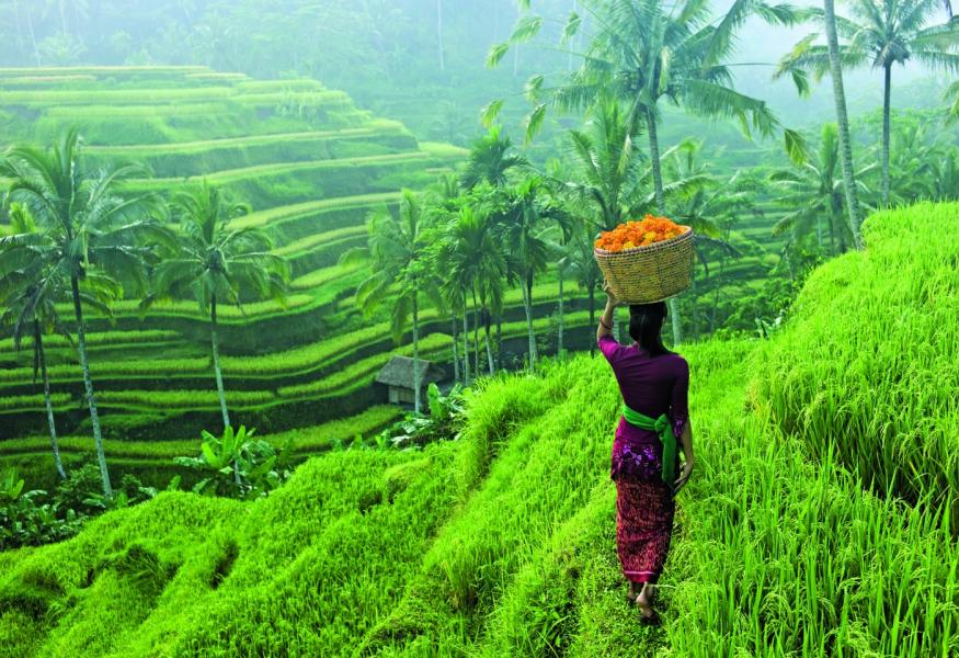 Türk Hava Yolları ile Direkt Uçuşlu Singapur & Bali & Jakarta Turu | 7 Gece 9 Gün