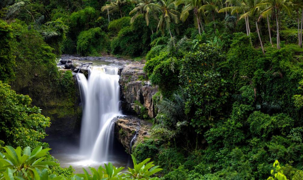 Türk Hava Yolları ile Direkt Uçuşlu Singapur & Bali & Jakarta Turu | 7 Gece 9 Gün
