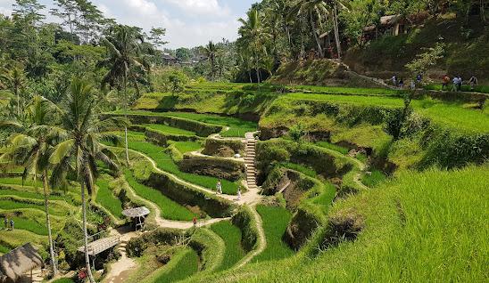 ELEGANT BALİ Türk Hava Yolları ile 5 Gece (DPS-DPS)