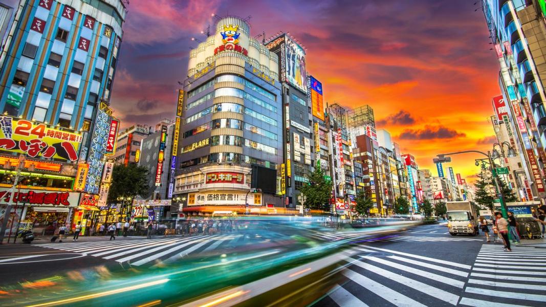 ELEGANT JAPONYA  - 6 Gece - All Nippon - HND-HND