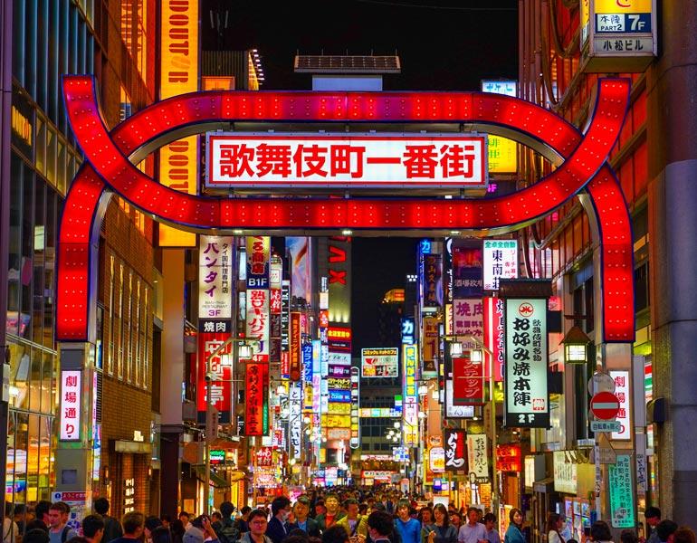 ELEGANT JAPONYA  - 6 Gece - All Nippon - HND-HND