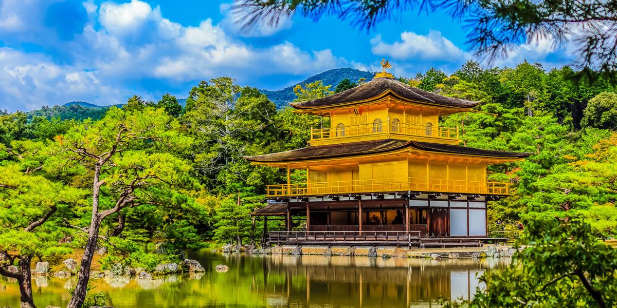 ELEGANT JAPONYA  - 7 Gece - Thy - KIX-NRT
