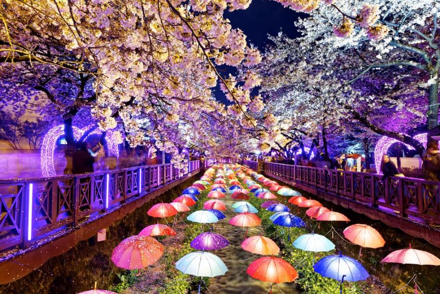 ELEGANT JAPONYA  - 7 Gece - Thy - KIX-NRT