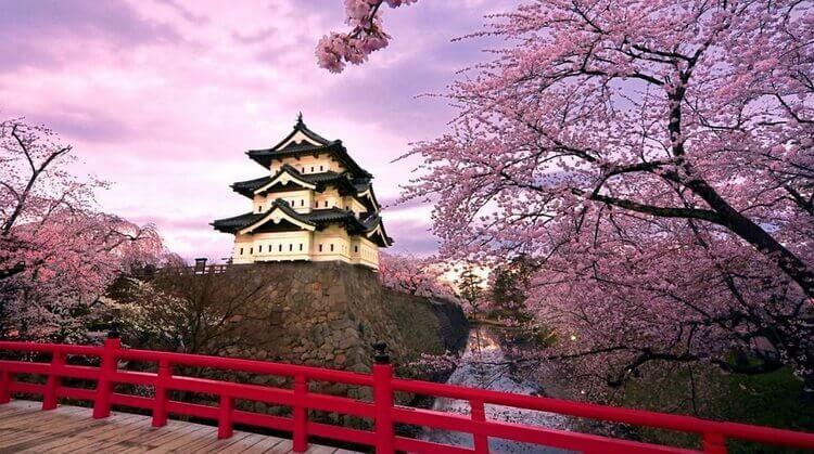 ELEGANT JAPONYA  - 7 Gece - Thy - KIX-NRT
