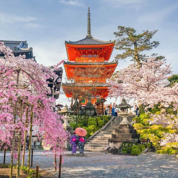 ELEGANT JAPONYA  - 7 Gece - Thy - KIX-NRT