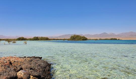 Ajet İle Ankara Hareketli Kahire Sharm El Sheikh Turu 4 Gece (345)