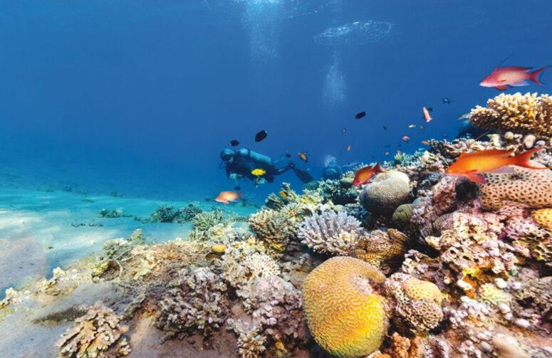 Ajet İle Ankara Hareketli Kahire Sharm El Sheikh Turu 4 Gece (345)
