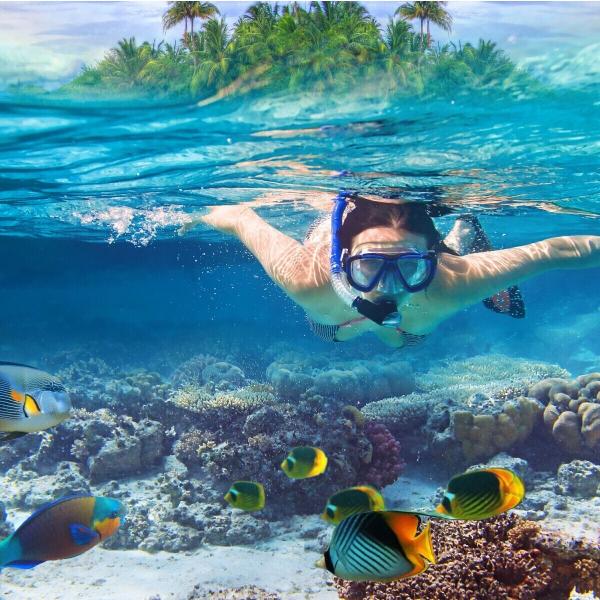 Ajet İle Ankara Hareketli Kahire Sharm El Sheikh Turu 4 Gece (345)