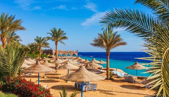 Ajet İle Ankara Hareketli Kahire Sharm El Sheikh Turu 4 Gece (345)