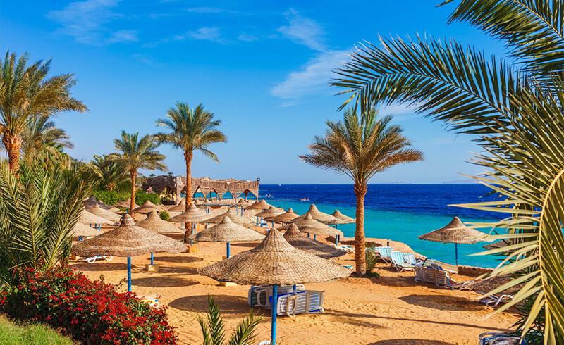 Ajet İle Ankara Hareketli Kahire Sharm El Sheikh Turu 4 Gece (345)