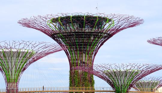 BALİ ve PHUKET ile FENOMEN UZAKDOĞU TURU - Singapur HY ile 9 GECE - 2025 Yaz - Sonbahar Kış - 2026 Kış - SINSIN
